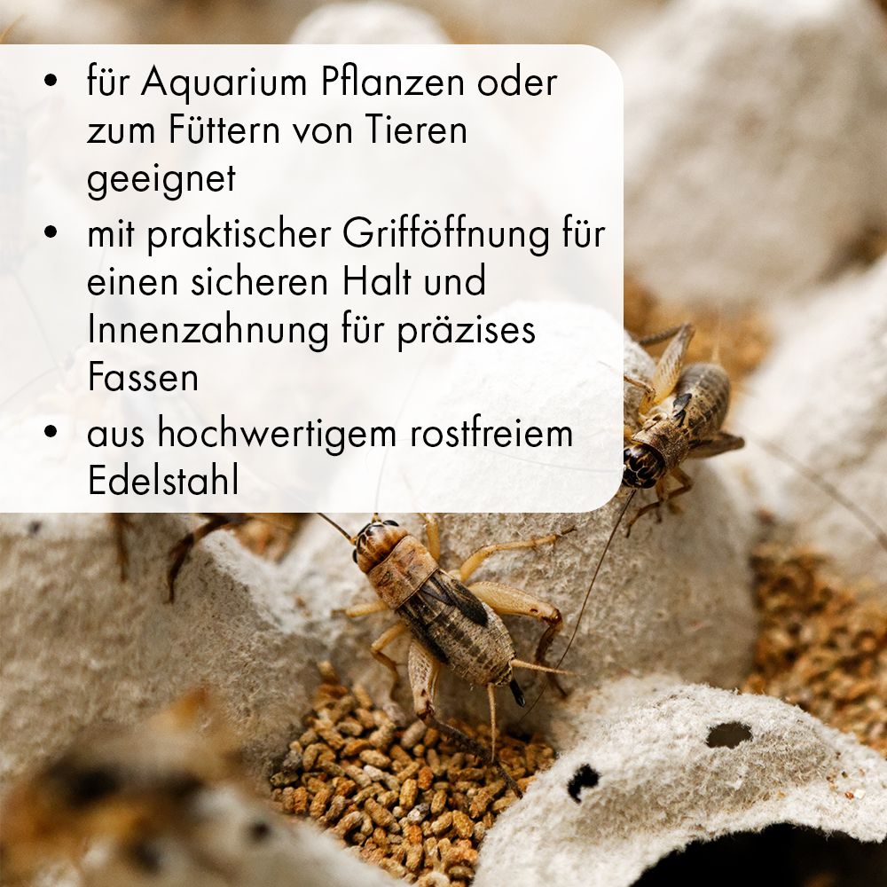 Edelstahl Futterzangen - gerade